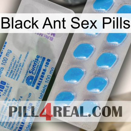 Black Ant Sex Pills new15
